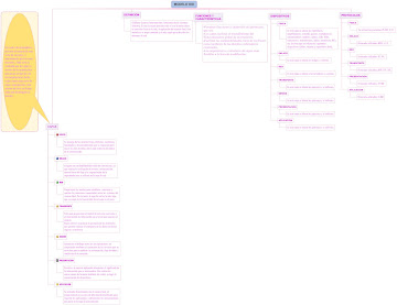 CAPAS DEL MODELO OSI
