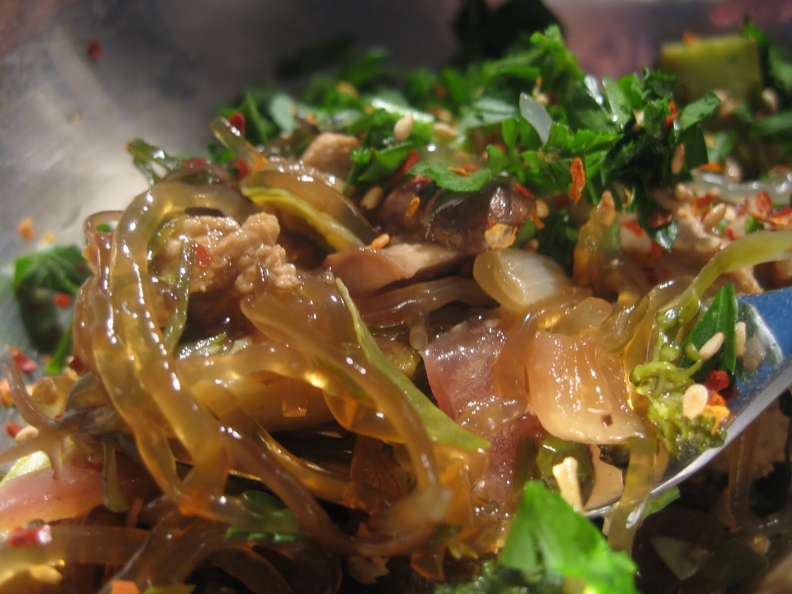 Culinary Adventures of a Vegan Kelp Noodle and Sea Vegetable Salad