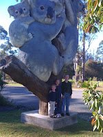 Billabong Koala Park, NSW