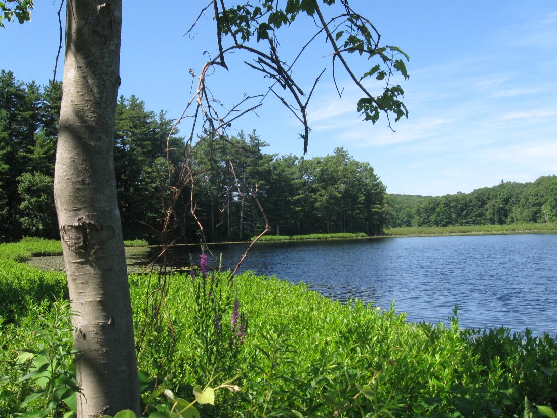 NH Seacoast Recumbent Rider Ride to Chelmsford, Ma
