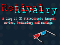 Retinal Rivalry The 3-DIY Blog