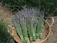 Lavender Bunches Available !!