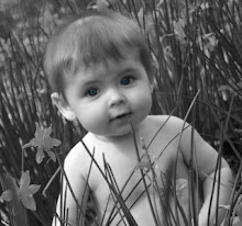 Seven Months Old