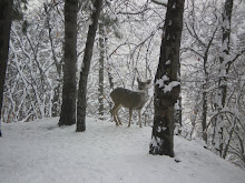 Nature at its best