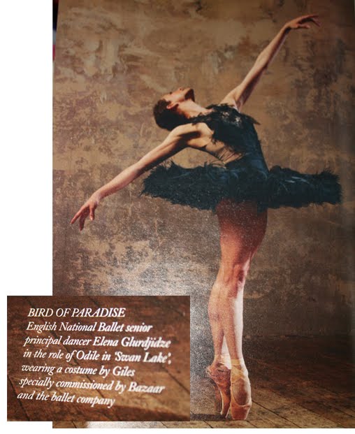 Queen Noor Odile s Swan Lake Dress