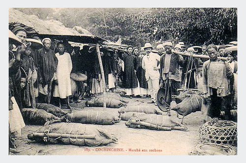 Cochinchine - Marché aux cochons