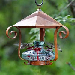 hummingbird feeder shelter feeders glass bloom bird humming yard flower hummingbirds sol wild hummer hanging par birds flowers pot envy