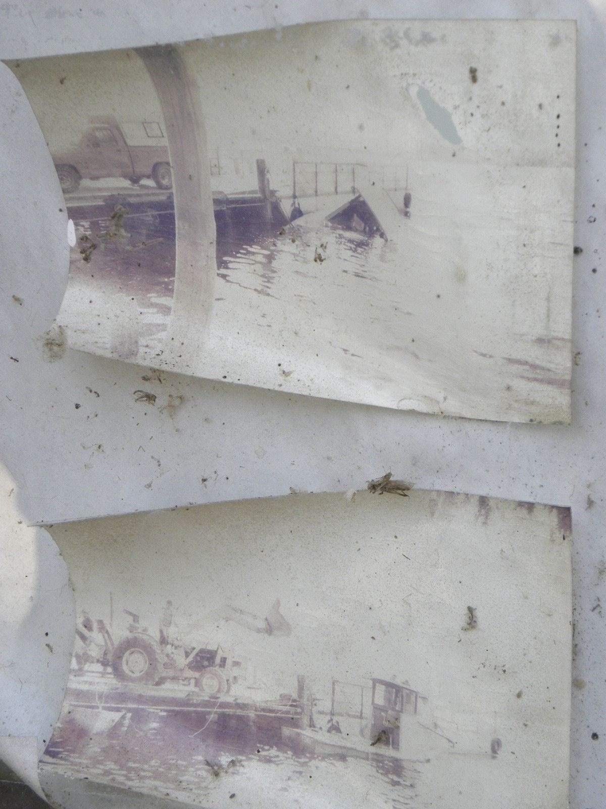 My Secrets for Happiness Fort Gates Ferry, Florida