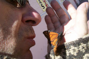 Besando a la Mariposa