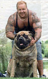 anjing terbesar di dunia