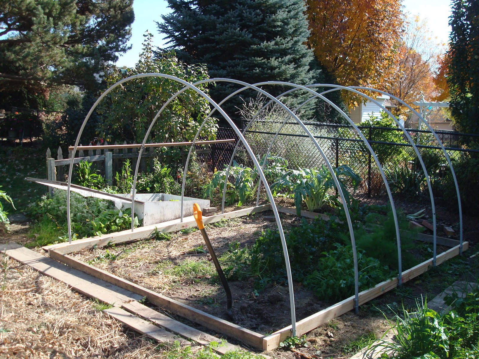 The Vegetable Garden: New Hoop House