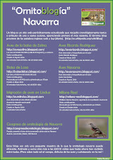 Ornitoblogia Navarra