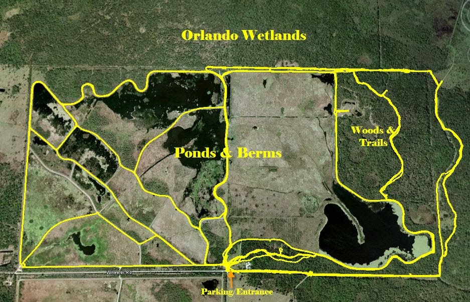 Florida Hikes and Other Outdoor Information Orlando Wetlands Hiking