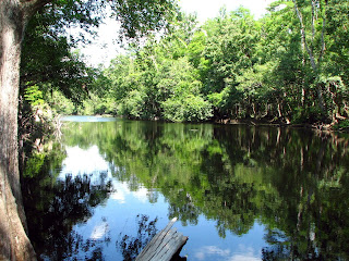 Image result for bull creek florida