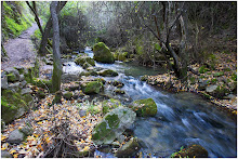 MI RIO, EL MAJACEITE