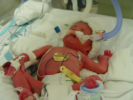 baby lainey