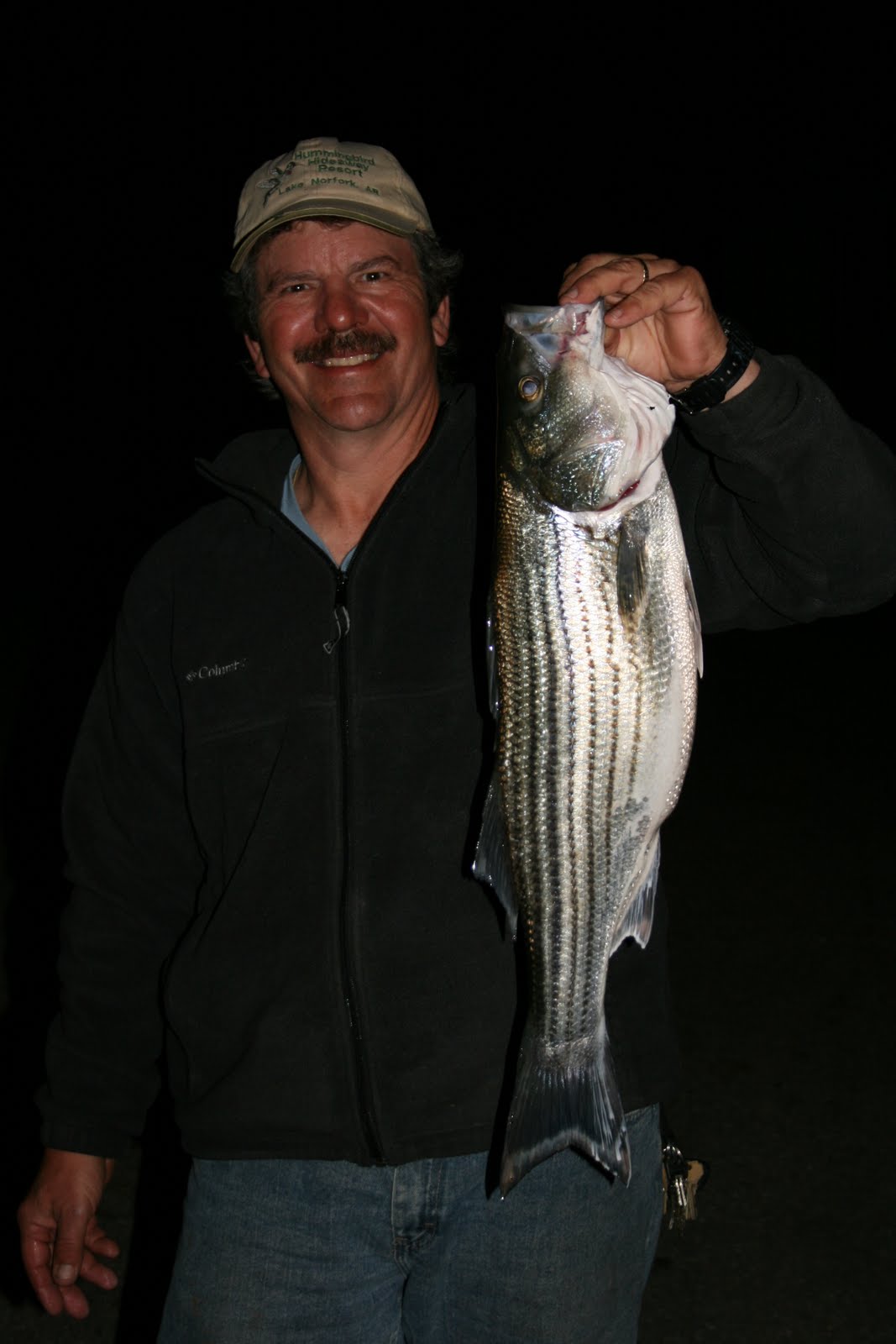 Hummingbird Hideaway Resort on Norfork Lake Norfork Lake Striper Fishing