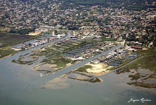 Photo aerienne du port ostreicole de Gujan Mestras sur le Bassin d'Arcachon