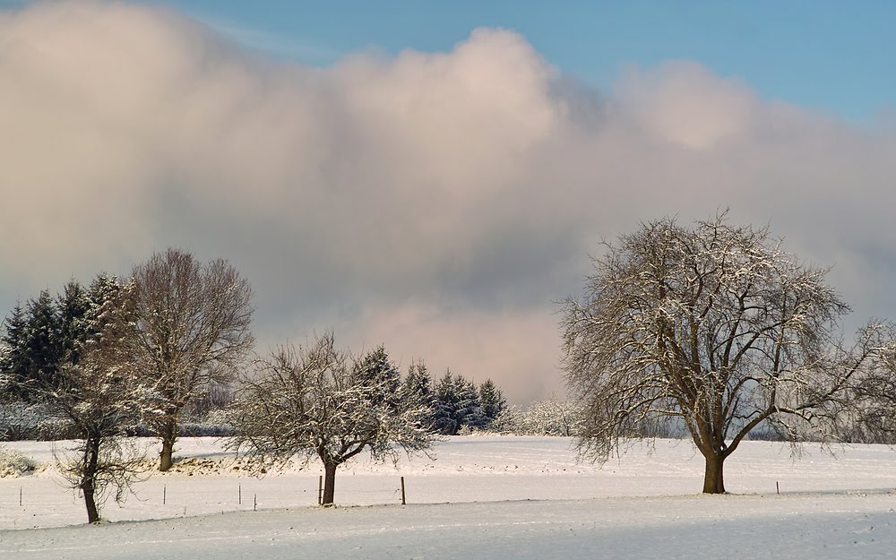 Weihnachtsdeko in Welzheim