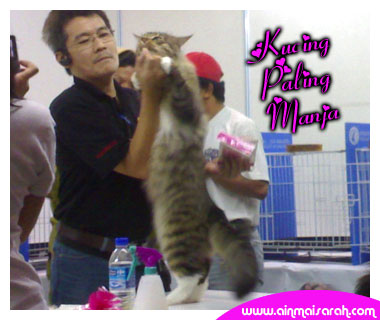 [akumahu_kucing03.jpg]