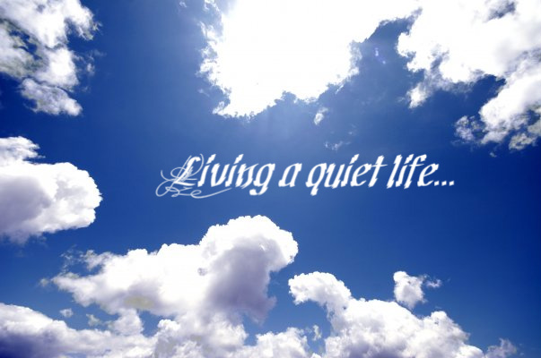 Living a quiet life...