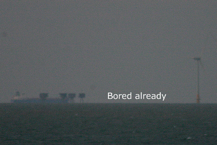 bored+already+copy.jpg
