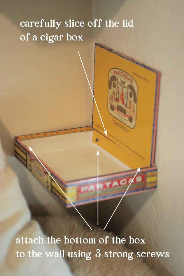 The Brooding Hen Cigar Box Shelves