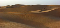Desert Drifts