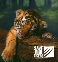 Save our tigers