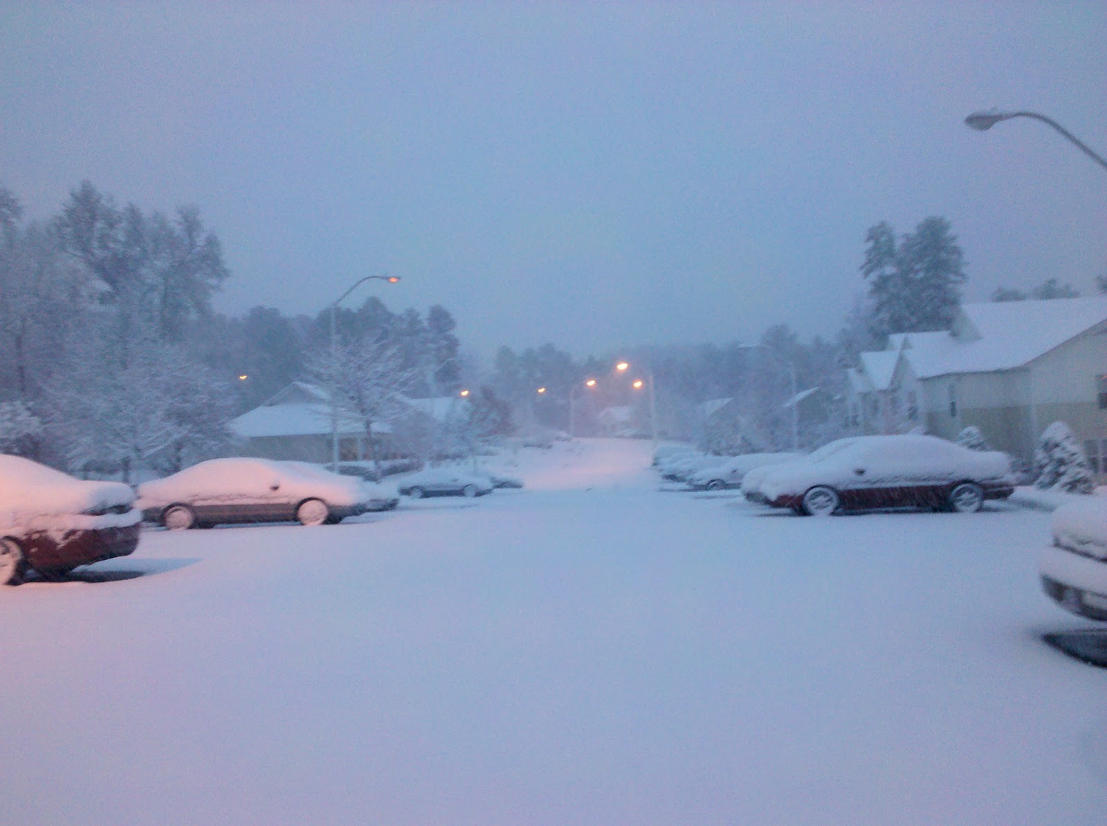 Southern Snow An NC Gun Blog