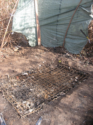 burned+matress.JPG