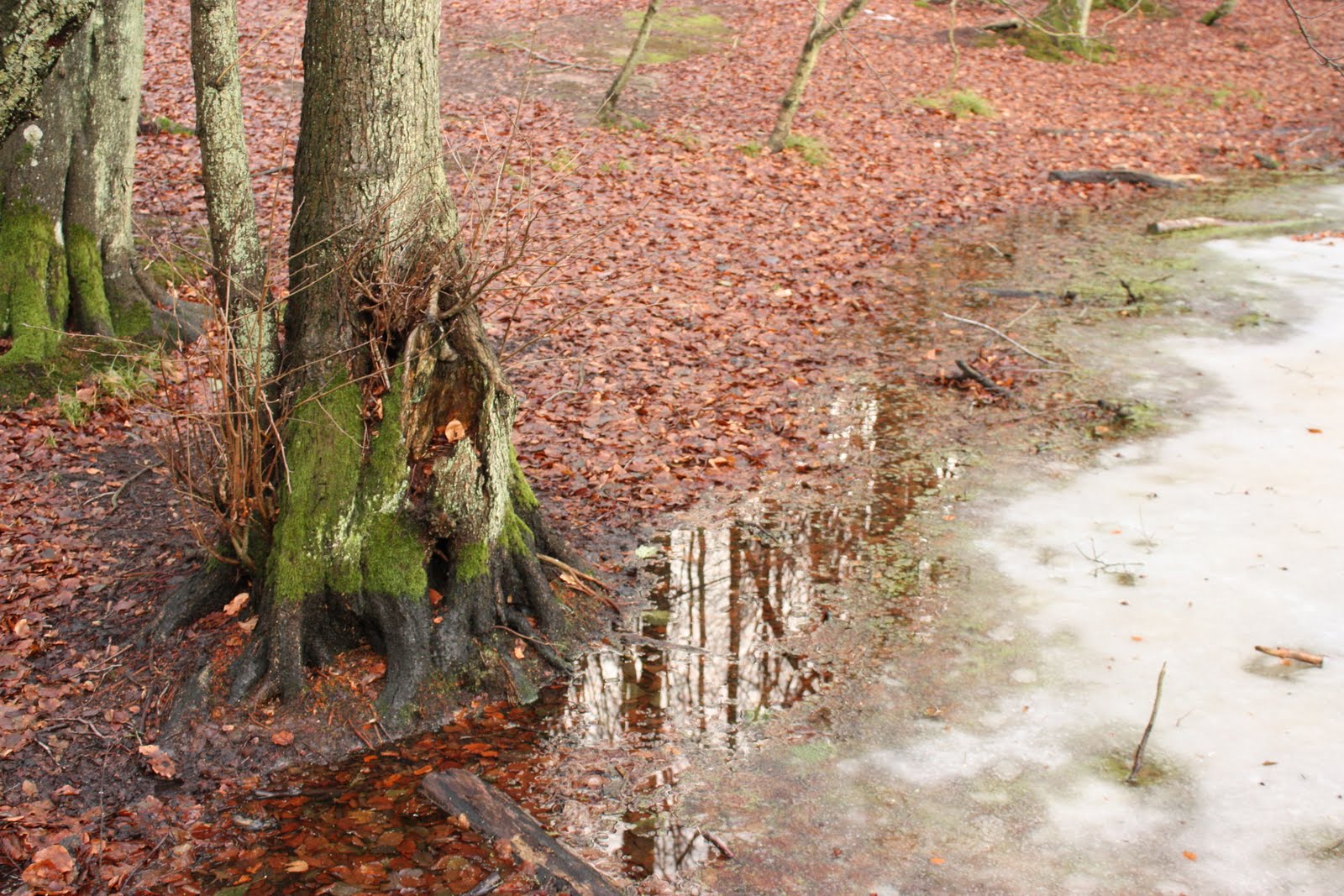 [11+und+12+++2009+371.jpg]