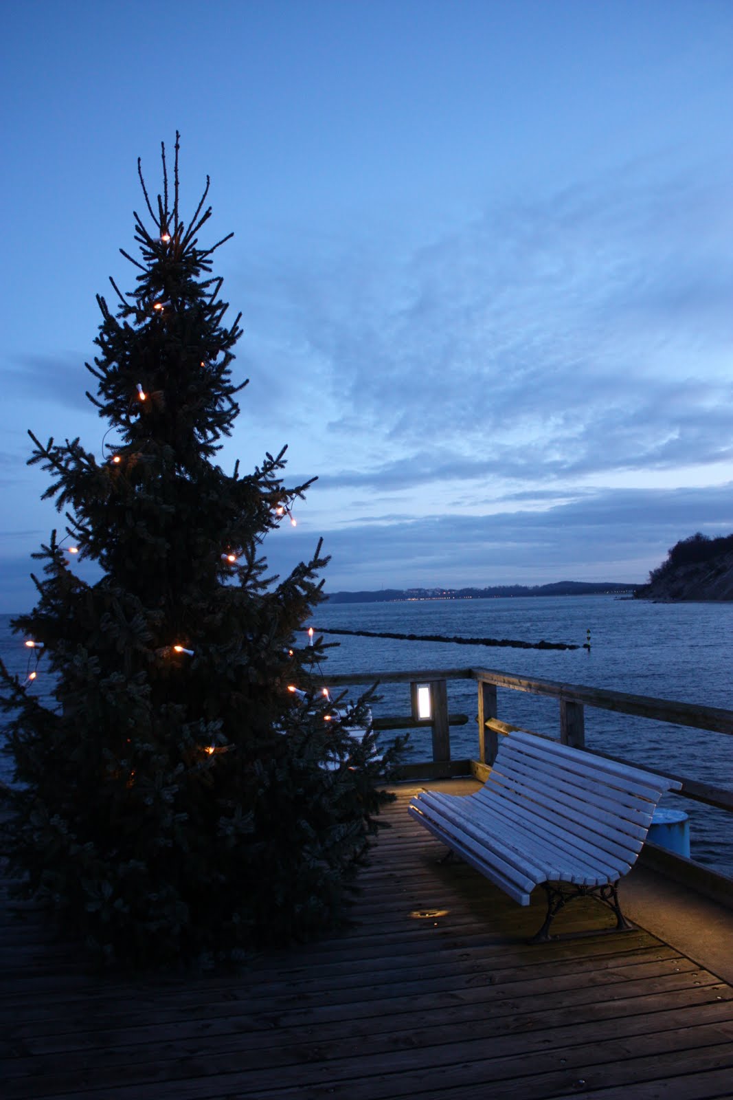 [11+und+12+++2009+444.jpg]