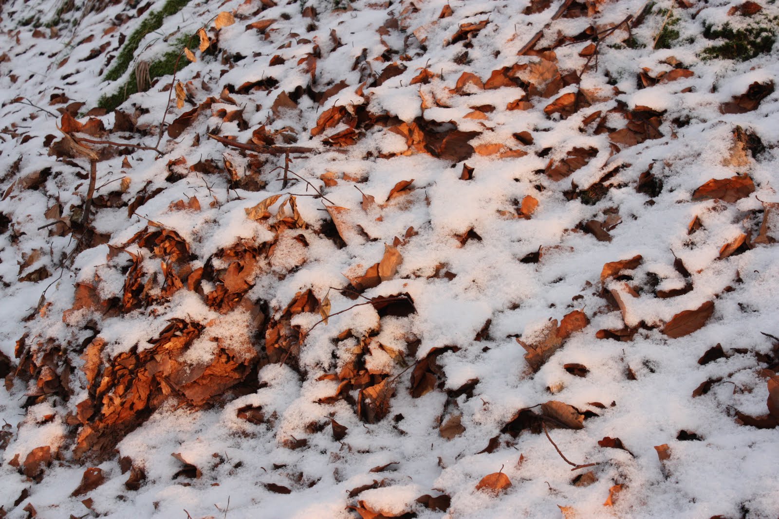 [Giessen+12.2009+207.jpg]