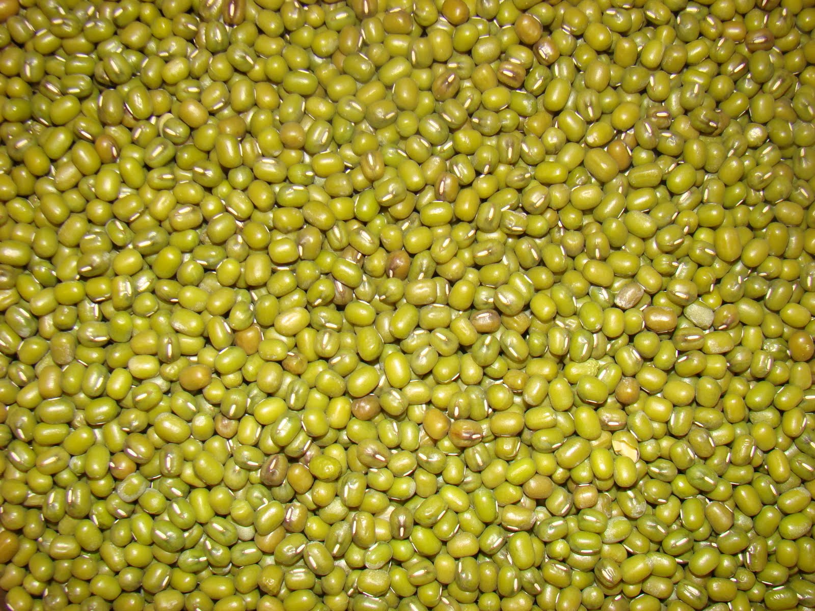 My Favorite Recipes Collection: Sprouted Moong Bean Salad.