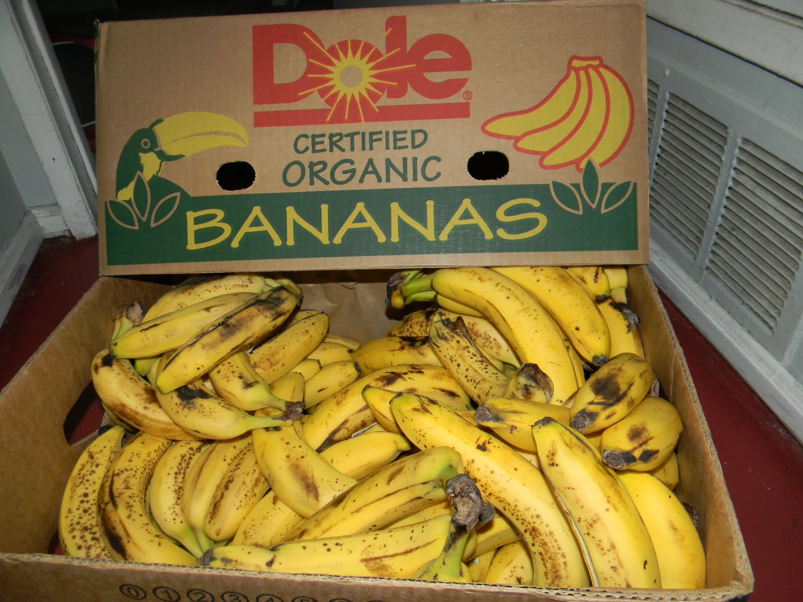 A Life Regretless; Banana Diet, Stand Up Paddling & Double Appointments