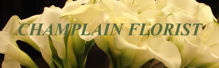 Champlain Florist Vancouver