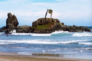 Tour and Travel: Pantai Permisan Nusakambangan