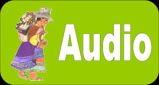 Audio Andino