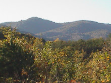 View of the Parkway Mtns. from our Land in Ferrum