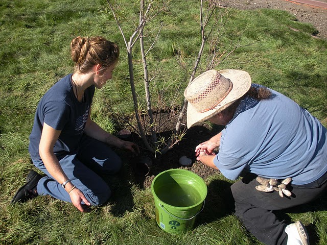 DriWater Inc News San Joaquin Delta College Using DriWater