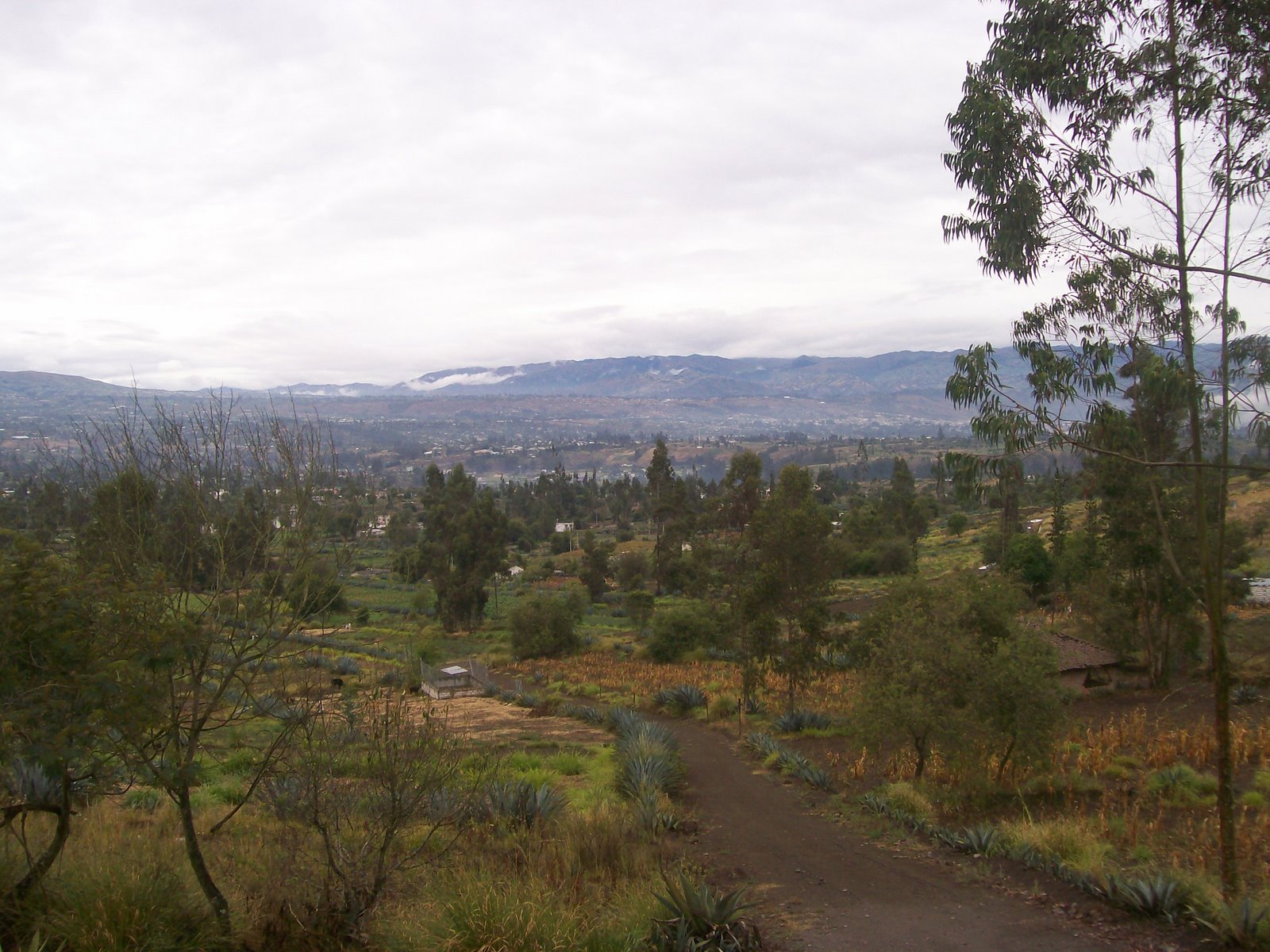 Sumak Kawsay Yachay (SKY) / Escuela Katitawa