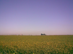 la libertad