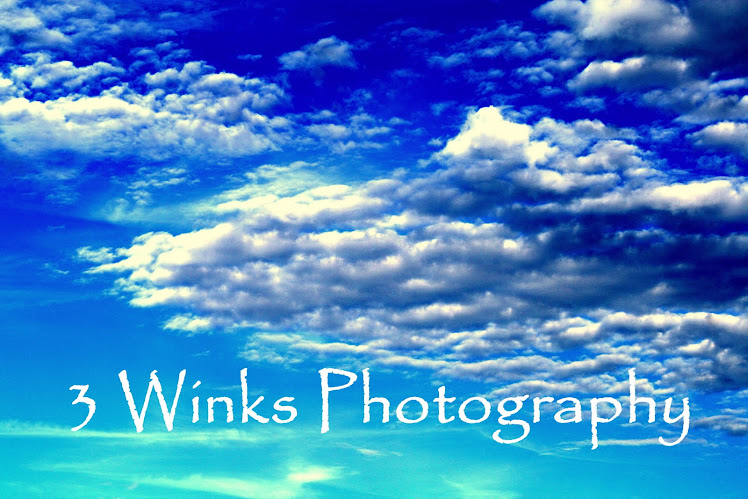 3 Winks Photography