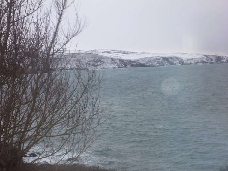 Snow in West Cork