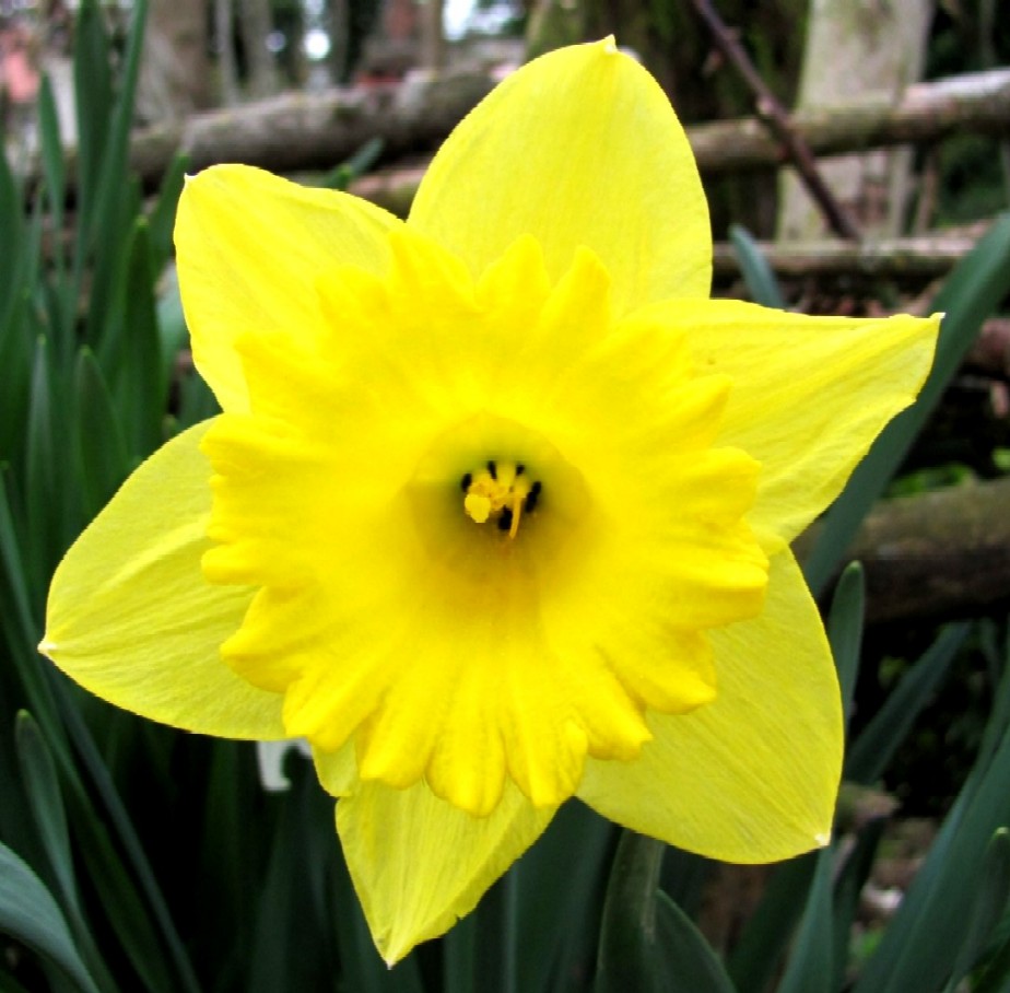 Gartenarbeit Ideen April 2010