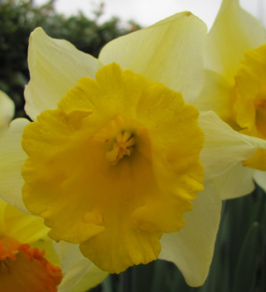Gartenarbeit Ideen April 2010