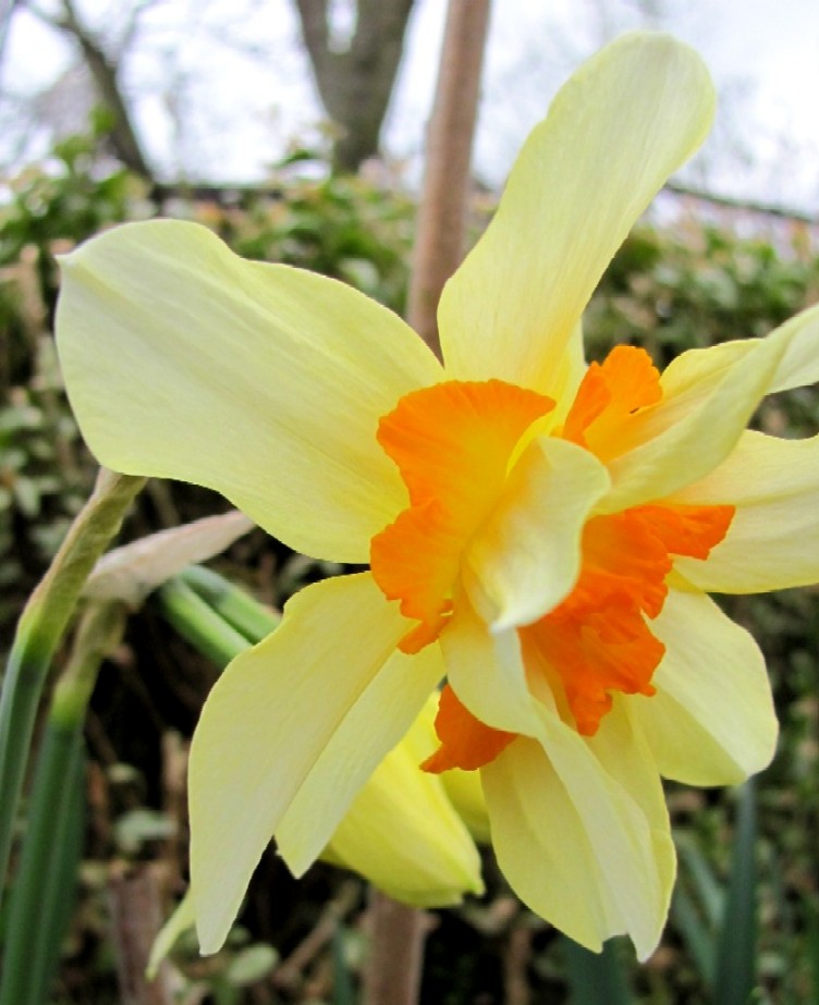 Gartenarbeit Ideen April 2010