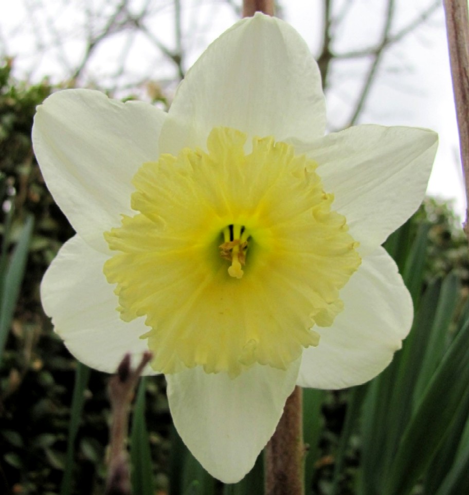 Gartenarbeit Ideen April 2010