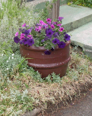 Gartenarbeit Ideen: Pflanzkübel / Blumenkübel in unterschiedlichster